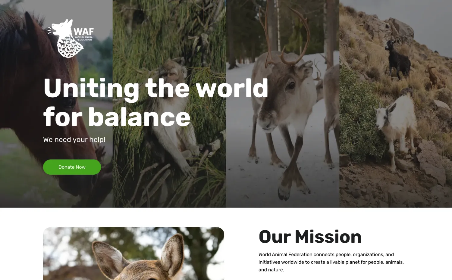 World Animal Federation